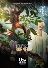 Judi Dench na tropikalnym Borneo